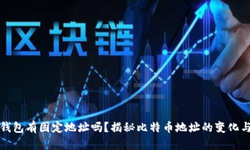 比特币钱包有固定地址吗？揭秘比特币地址的变化与安全性