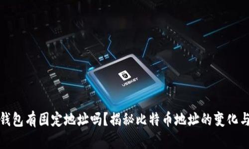 比特币钱包有固定地址吗？揭秘比特币地址的变化与安全性