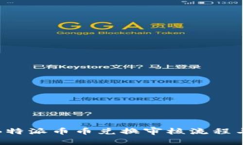 全面解析B特派币币兑换审核流程与注意事项