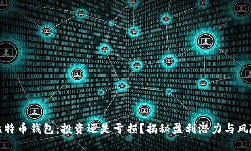 比特币钱包：投资还是亏损？揭秘盈利潜力与风险