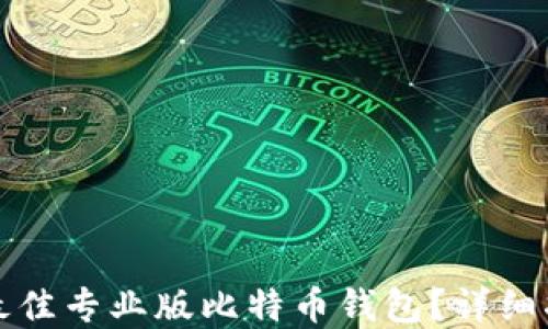 
如何选择最佳专业版比特币钱包？详细指南与推荐