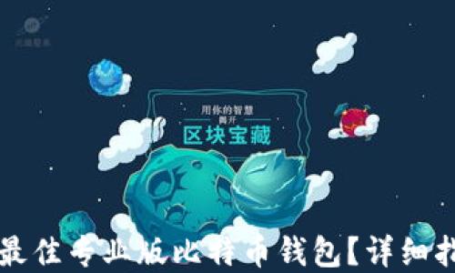 
如何选择最佳专业版比特币钱包？详细指南与推荐