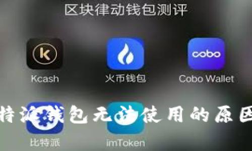 深度解析：b特派钱包无法使用的原因与解决方案