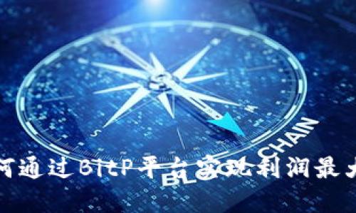 如何通过BitP平台实现利润最大化