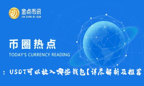 : USDT可以放入哪些钱包？详尽解析及推荐