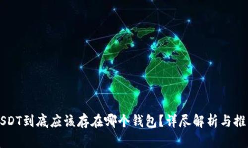 USDT到底应该存在哪个钱包？详尽解析与推荐