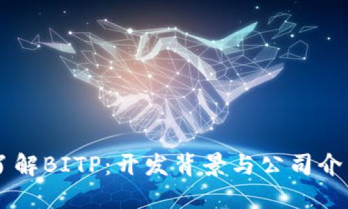 了解BITP：开发背景与公司介绍