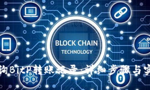 如何查询BitP转账记录：详细步骤与实用技巧