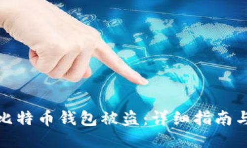 如何应对比特币钱包被盗：详细指南与预防措施