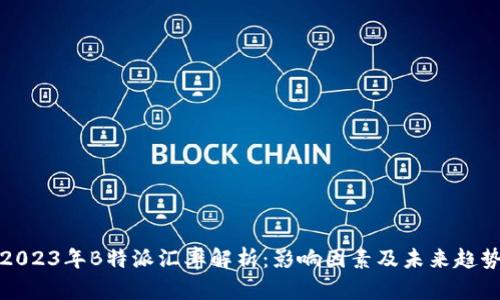 2023年B特派汇率解析：影响因素及未来趋势