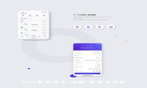 BitP软件简介：功能、使用与优势