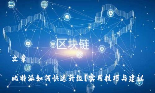 文章

比特派如何快速升级？实用技巧与建议