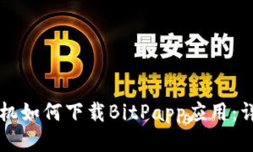 华为手机如何下载BitPapp应用：详细指南