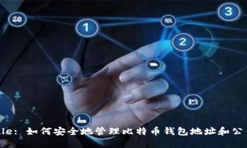Title: 如何安全地管理比特币钱包地址和公钥？