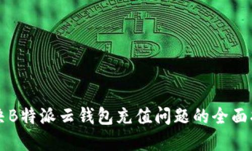 解决B特派云钱包充值问题的全面指南