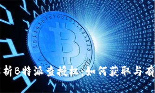 全面解析B特派查授权：如何获取与有效运用