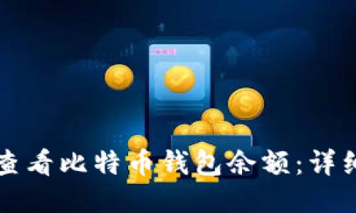 如何查看比特币钱包余额：详细指南