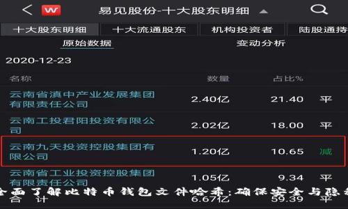 全面了解比特币钱包文件哈希：确保安全与隐私