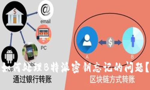 如何处理B特派密钥忘记的问题？