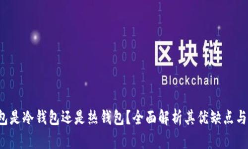 b特派钱包是冷钱包还是热钱包？全面解析其优缺点与使用场景