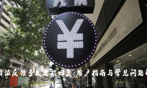 比特派反馈多久才能回复：用户指南与常见问题解答