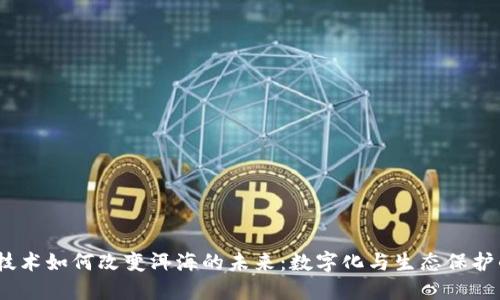 Web3技术如何改变洱海的未来：数字化与生态保护的结合