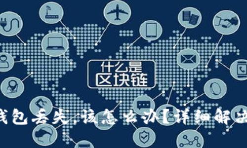 如果B特派钱包丢失，该怎么办？详细解决方案与指南