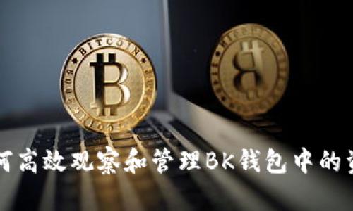 如何高效观察和管理BK钱包中的资产