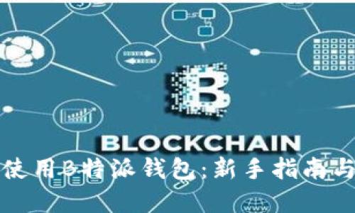 怎样高效使用B特派钱包：新手指南与实用技巧