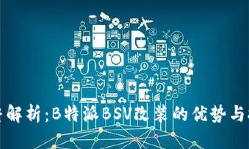 完整解析：B特派BSV改装的优势与技巧