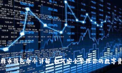 比特币钱包命令详解：如何安全管理你的数字资产