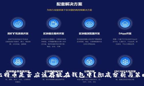 比特币是否应该存放在钱包中？彻底分析与策略