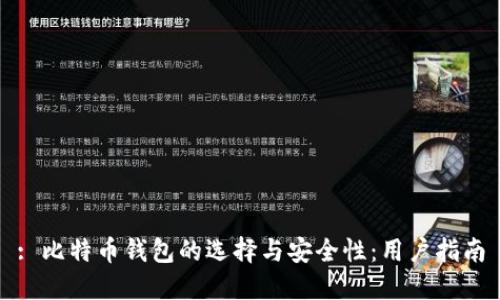 : 比特币钱包的选择与安全性：用户指南