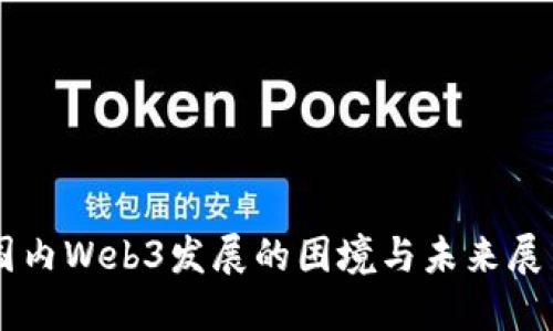 国内Web3发展的困境与未来展望