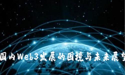 国内Web3发展的困境与未来展望