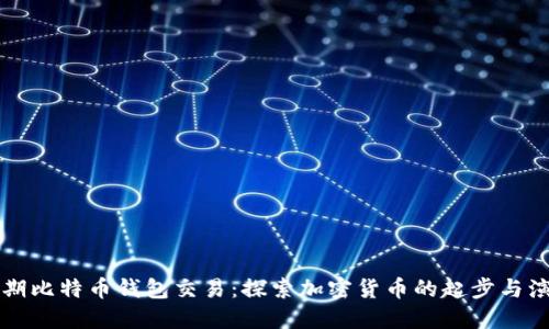 早期比特币钱包交易：探索加密货币的起步与演变