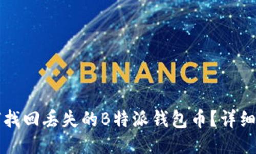 如何找回丢失的B特派钱包币？详细指南