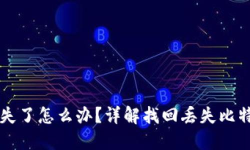 比特派钱包丢失了怎么办？详解找回丢失比特币钱包的方法