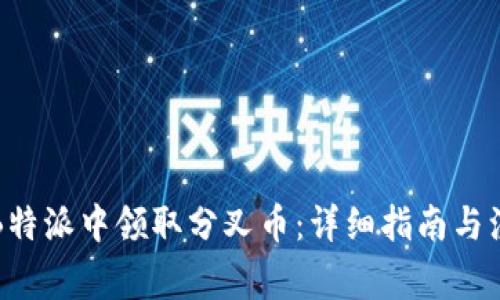 如何在B特派中领取分叉币：详细指南与注意事项