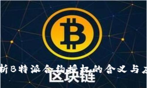解析B特派合约授权的含义与应用