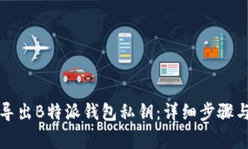 如何安全导出B特派钱包私钥：详细步骤与注意事项