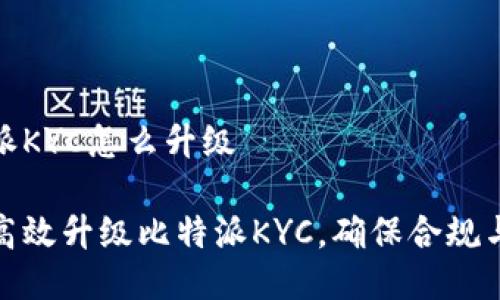 比特派KYC怎么升级

如何高效升级比特派KYC，确保合规与安全