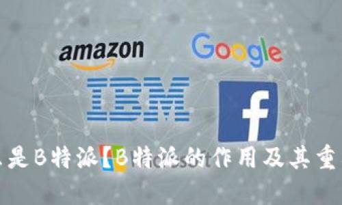 什么是B特派？B特派的作用及其重要性