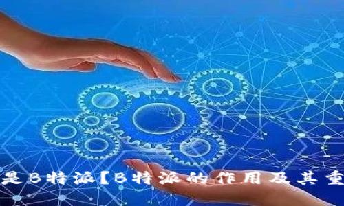 什么是B特派？B特派的作用及其重要性