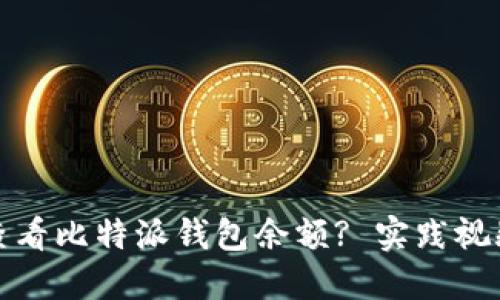 如何查看比特派钱包余额? 实践视频详解