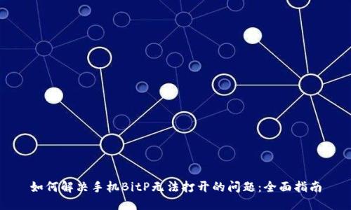 如何解决手机BitP无法打开的问题：全面指南
