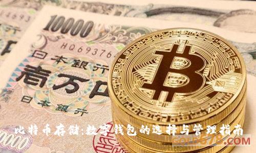 比特币存储：数字钱包的选择与管理指南