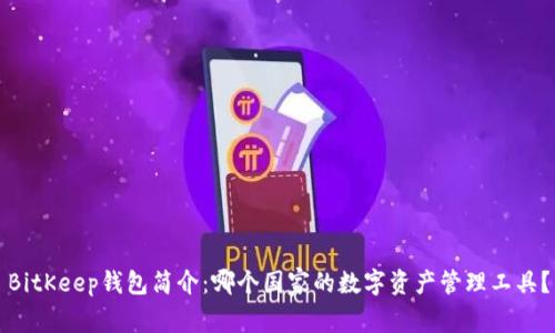 BitKeep钱包简介：哪个国家的数字资产管理工具？