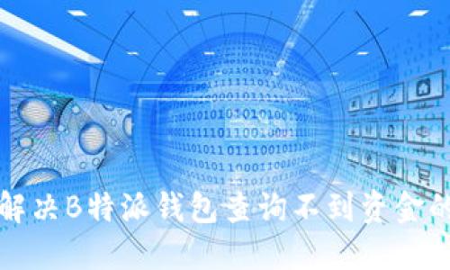 如何解决B特派钱包查询不到资金的问题