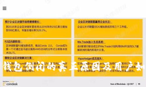 比特派钱包倒闭的真正原因及用户如何应对